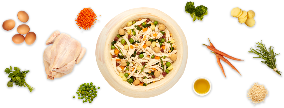Tavuk Etli Öğün - %57 Protein